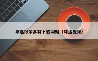 保定球迷惊呆素材下载网站（球迷视频）